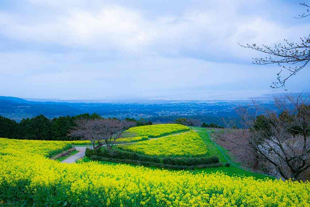 Nền du lịch biển phát triển mạnh tại thành phố Nagasaki