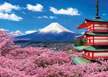 Dịch thuật đóng vai trò quan trọng với Nhật Bản