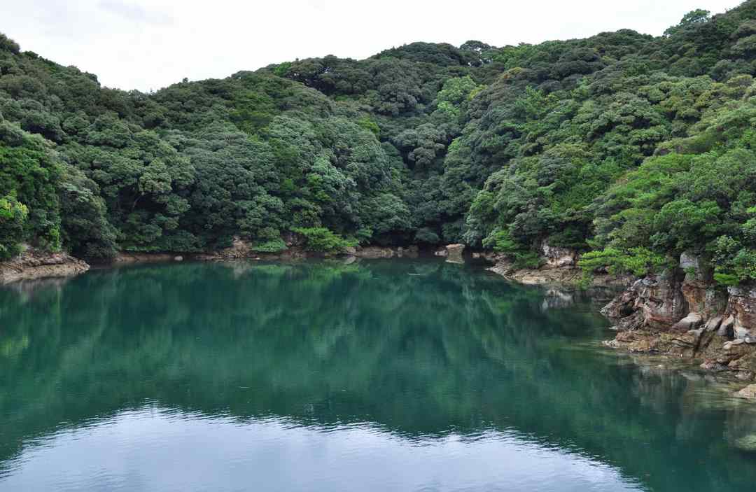 Kujūku-shima (九十九島)