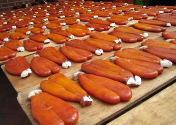 Quà lưu niệm tại Nagasaki bạn nên mua về cho gia đình