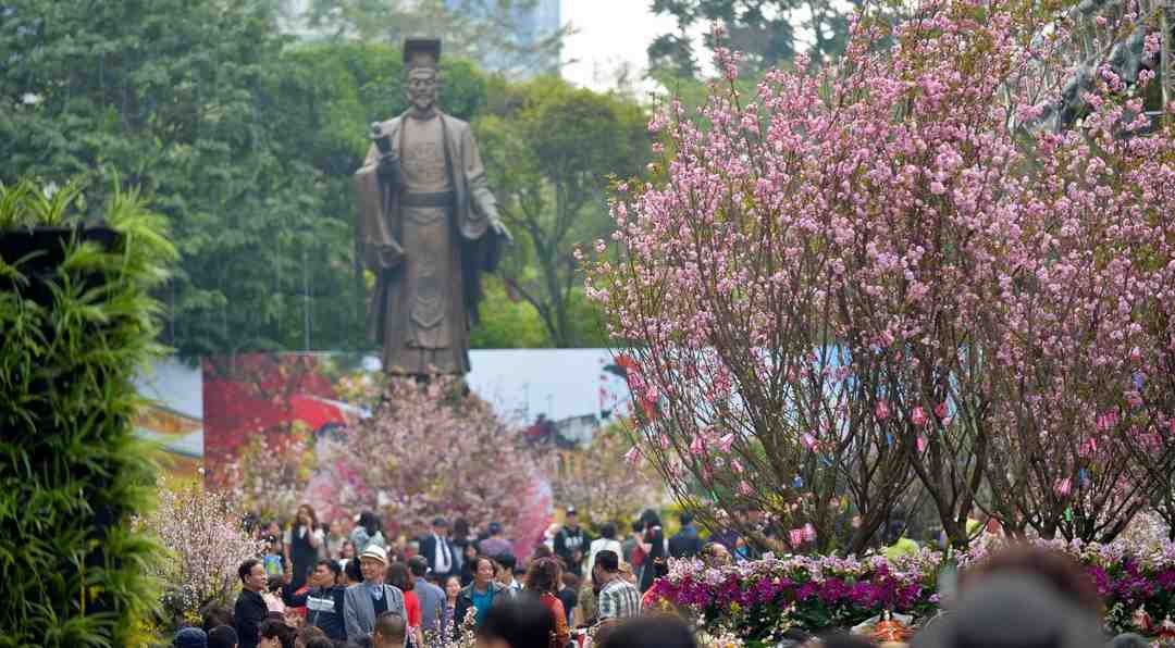 Giới thiệu chung về lễ hội hoa anh đào Hanami