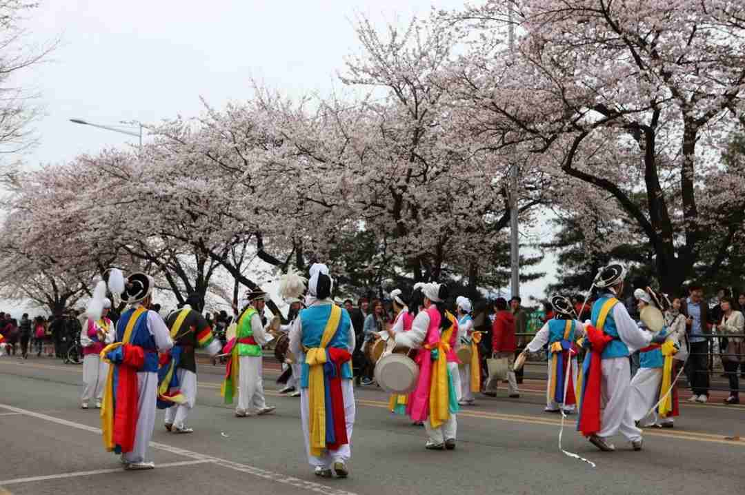 Những lưu ý khi tham gia lễ hội hoa anh đào Hanami