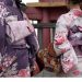 cách mặc trang phục Kimono đúng cách