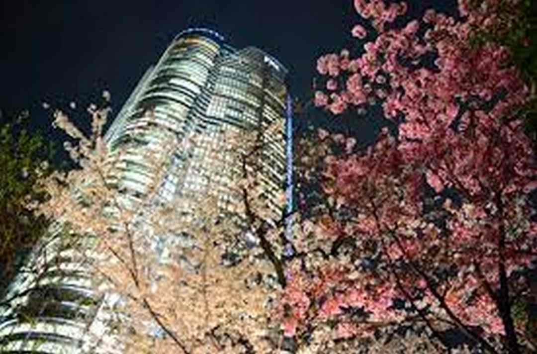Tòa tháp Roppongi Hills Mori Tower
