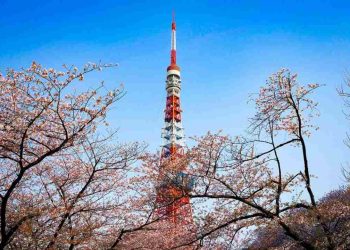 Lịch sử của Tháp Tokyo