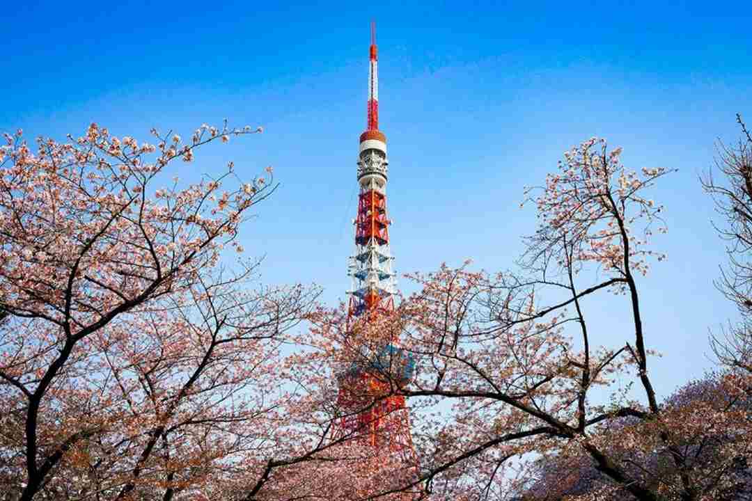 Lịch sử của Tháp Tokyo